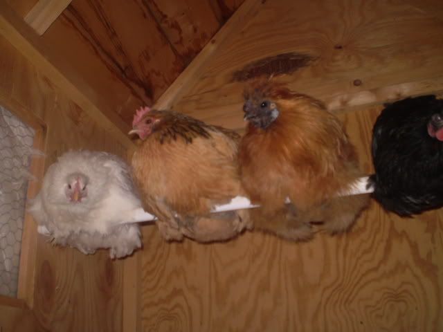 PC300159.jpg