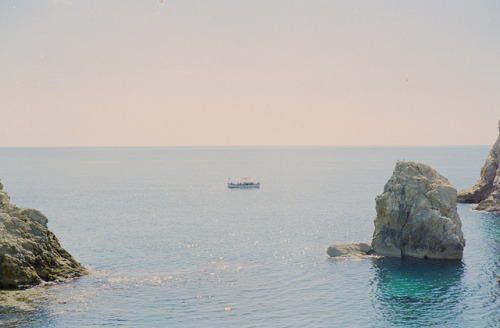 tumblr_lzymaymElr1rnv9j6o1_500.jpg