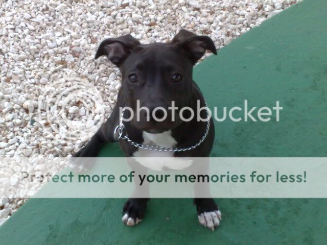 Picture002.jpg
