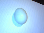0901081244.jpg