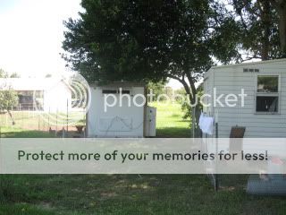IMG_1173.jpg
