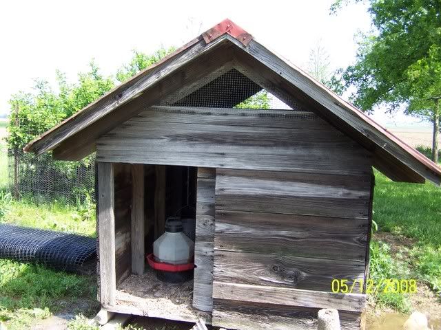 100_2528.jpg