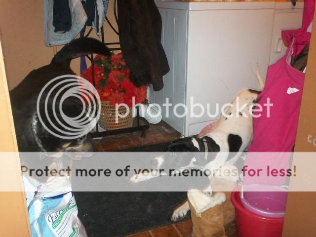 Zoes1stpics055.jpg