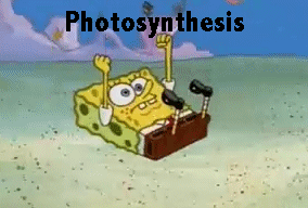 tumblr_lu064xtaar1qibok6o1_400.gif