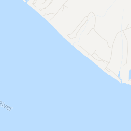 3245.png