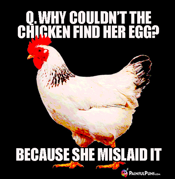 chickenEggs.jpg