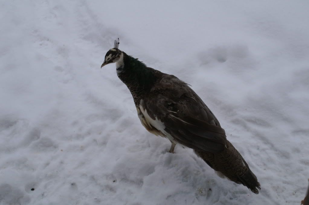Picture012.jpg