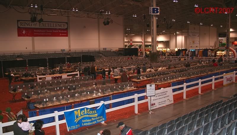 IMG_6182_RAWF_LCRT2007.jpg