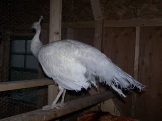 100_4740.jpg