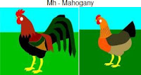 Mh-mahogany.jpg