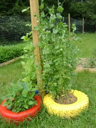 garden18.jpg