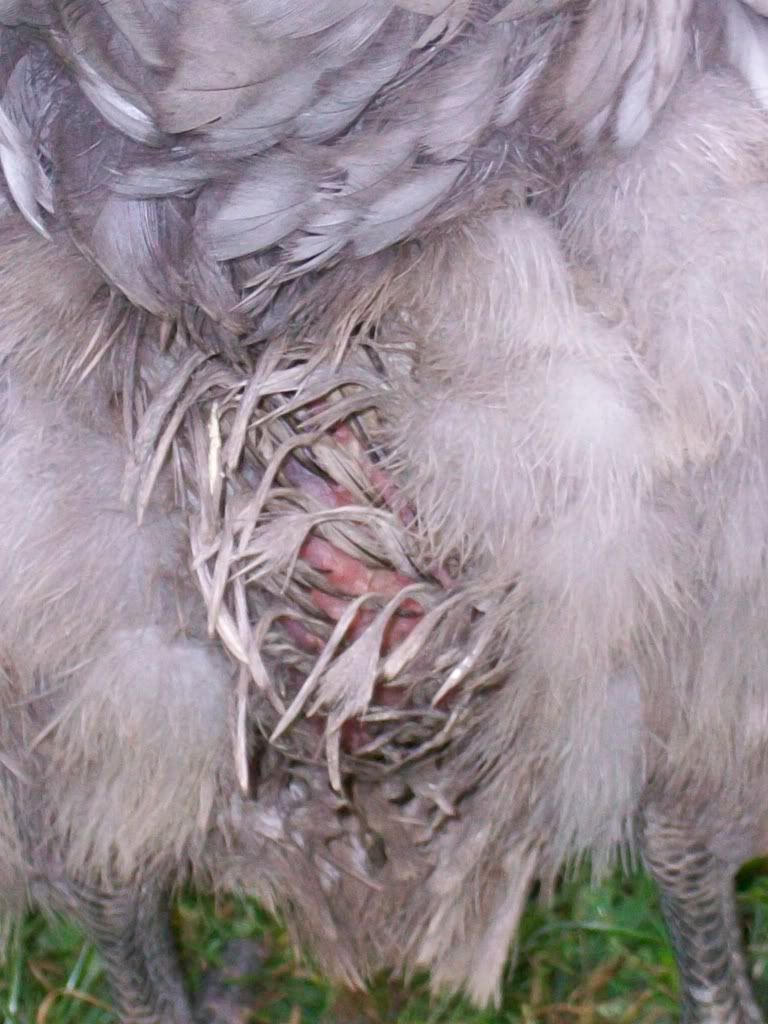 100_0064.jpg