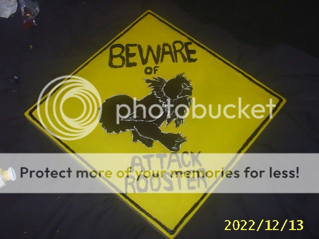001-1.jpg