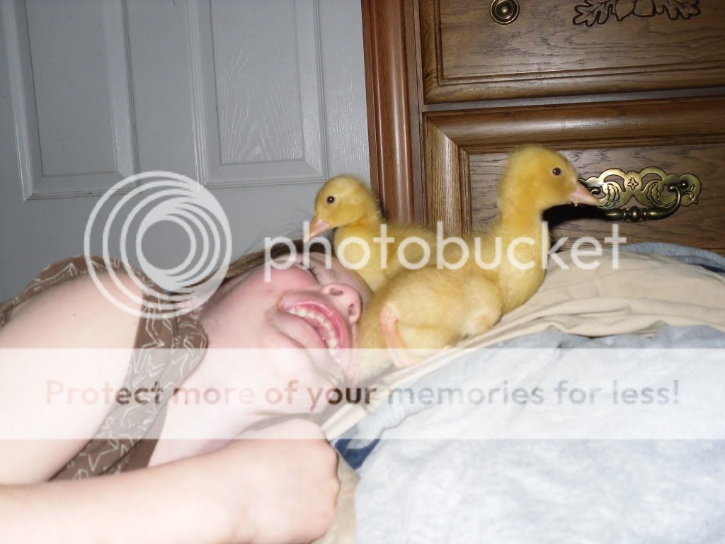SDC10522.jpg