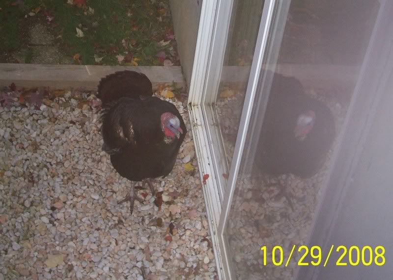 100_5893.jpg