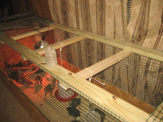 Picture051.jpg