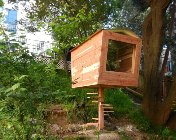 matt-wolpes-chicken-coopsickle2-568x453.jpg