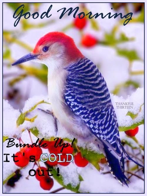 152800-Good-Morning-It-s-Cold.jpg