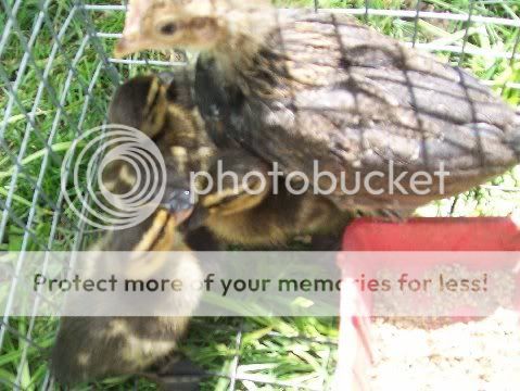 100_2057.jpg