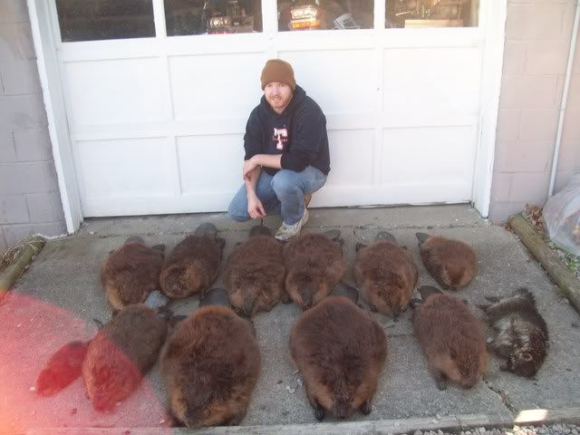 beaver2018.jpg