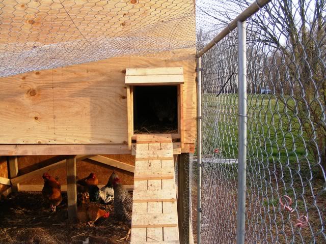 Chickencoop022.jpg