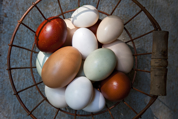04EGG_SPAN-articleLarge.jpg