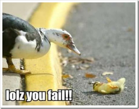 fail-duck%5B2%5D.jpg