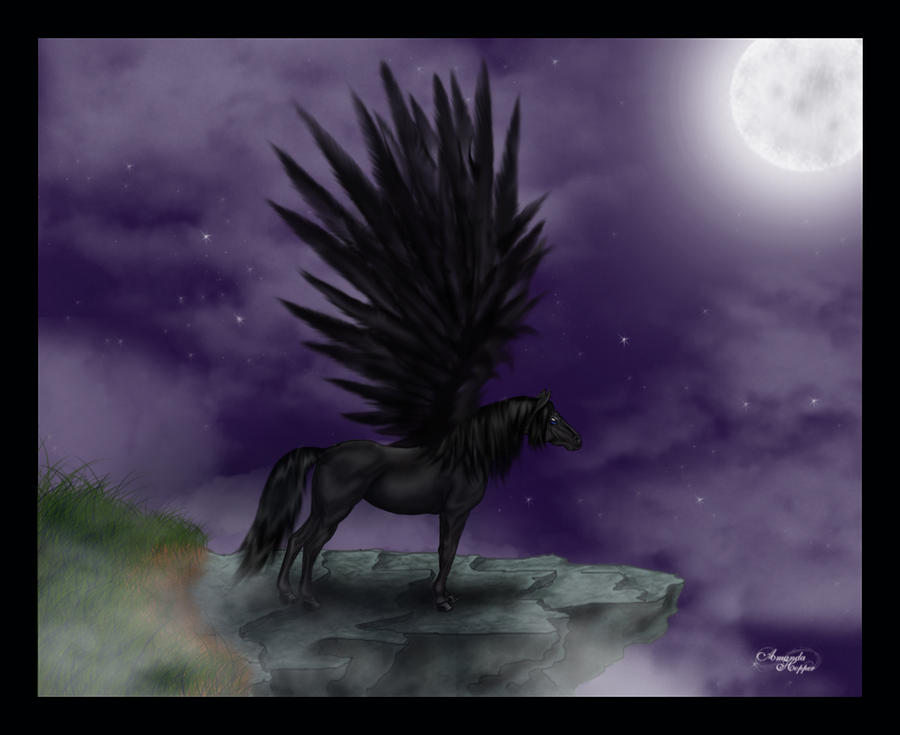 Black_Pegasus_by_Dannys_angel.jpg