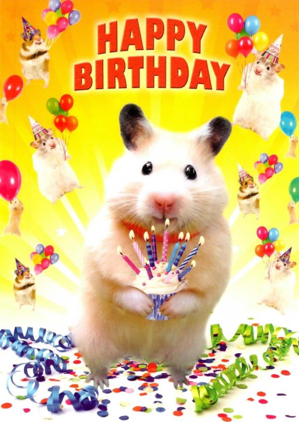 lrgscaleH281a-Birthday-Card.JPG