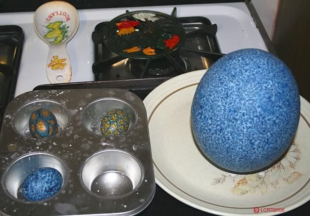 IMG_4084_LCRT2006_ostrich_egg-1.jpg