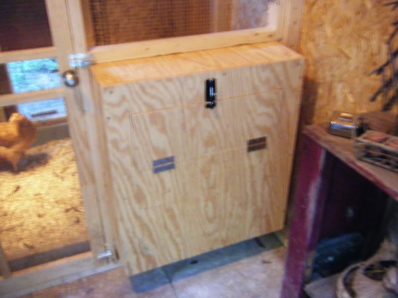 DSCF9203.jpg