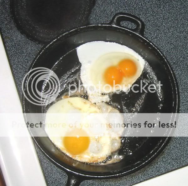 Feb10Doubleyolksemail.jpg