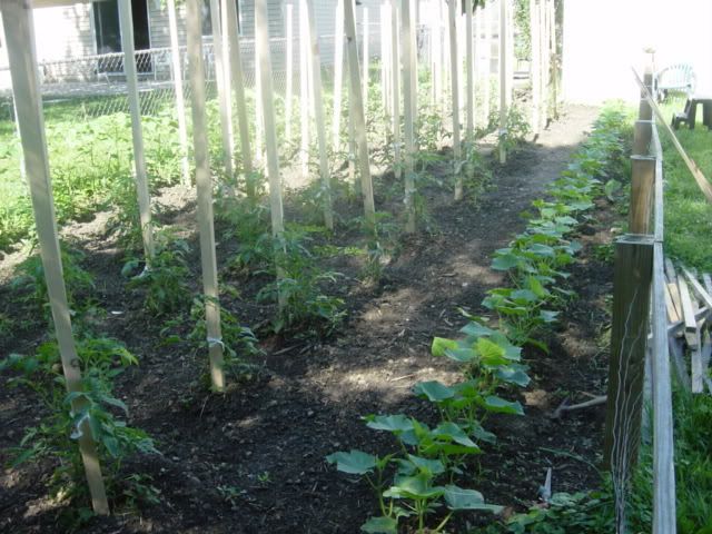 DSC03315.jpg