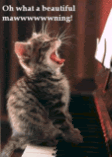 thgood-morning_30-1.gif