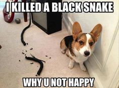 9ab88a5554c523ea228d8eb1a4f8faa6.jpg