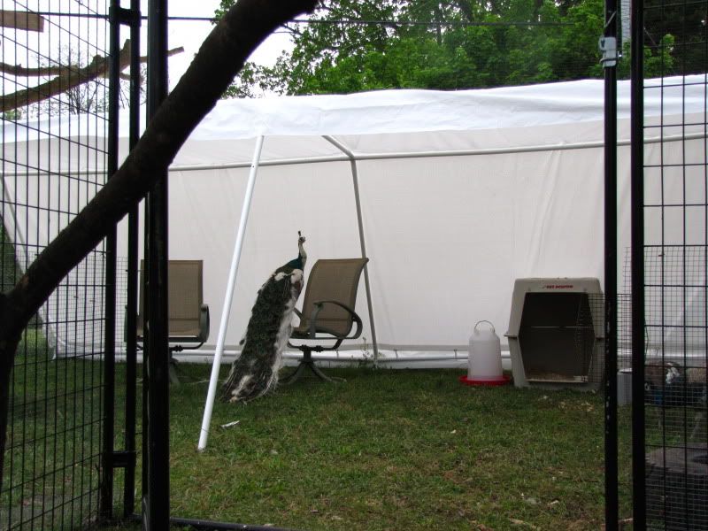 March2011033.jpg