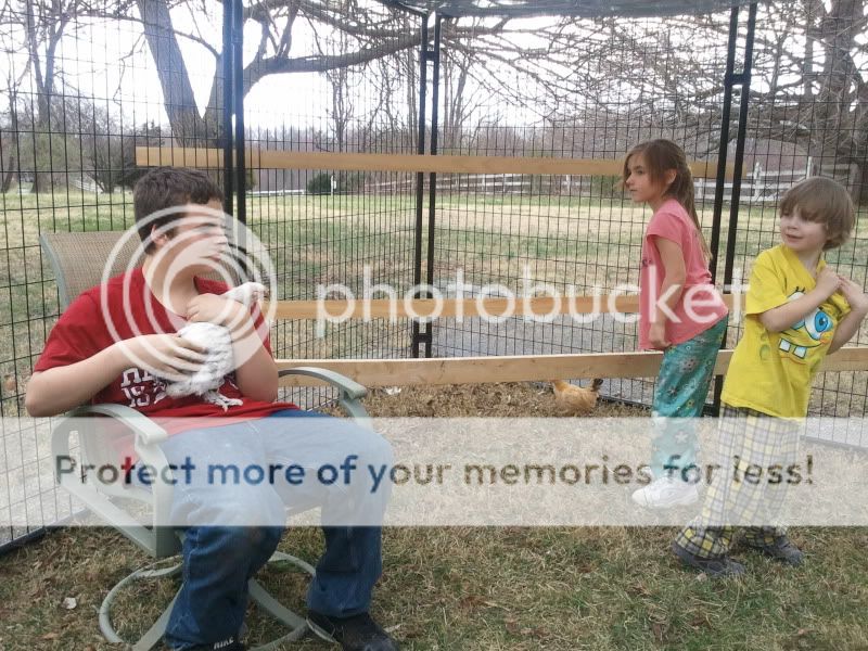 2011-03-22164839.jpg