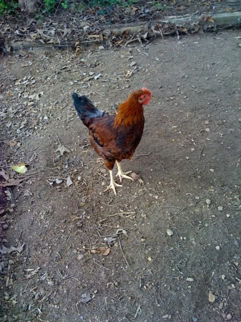 photo-142.jpg
