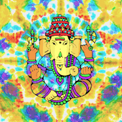 tumblr_mznz8dNPkH1sbr00to1_250.gif