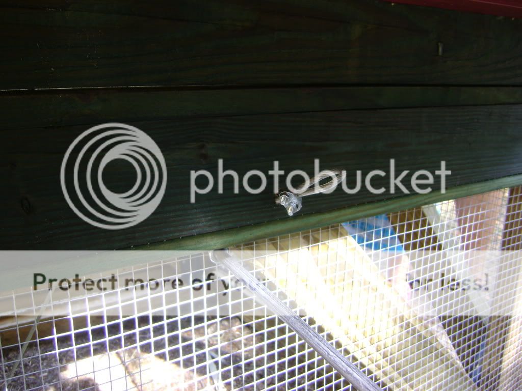 DSC04758.jpg