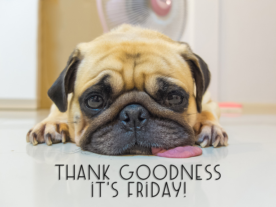 LTC-TGIF.jpg