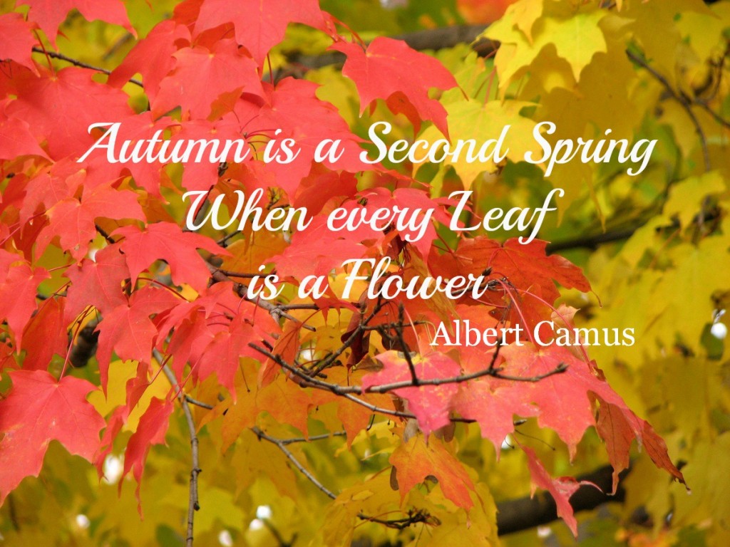 Autumn-is-Second-Spring-quote1-1024x768.jpg