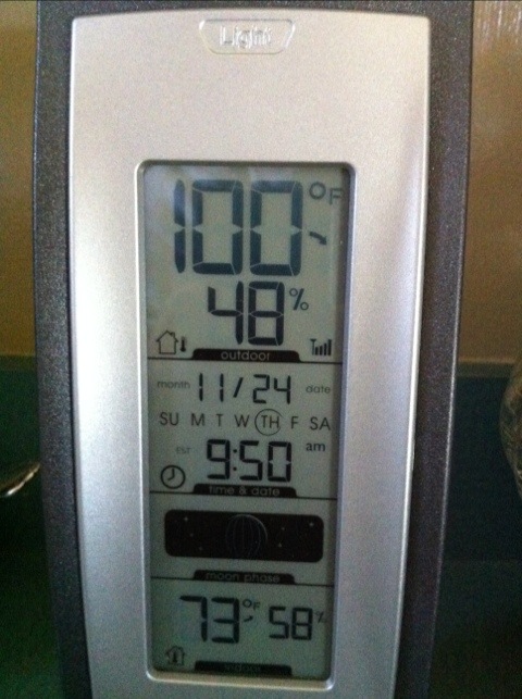 20111124-090941.jpg