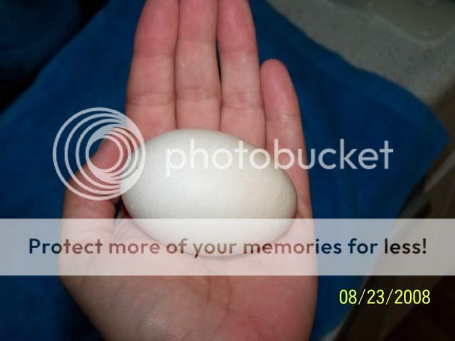 100_1549.jpg