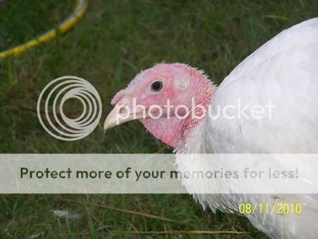 100_5716.jpg