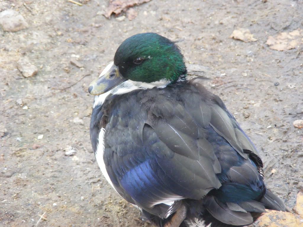 Picture018.jpg