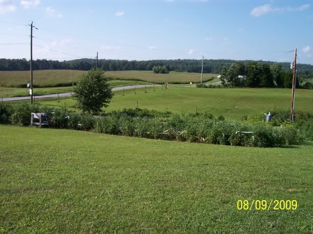 012-2.jpg