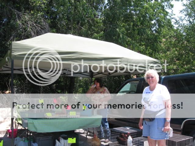 IMG_2988.jpg