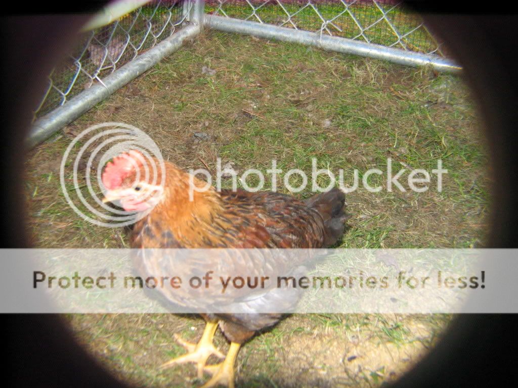 IMG_4712.jpg