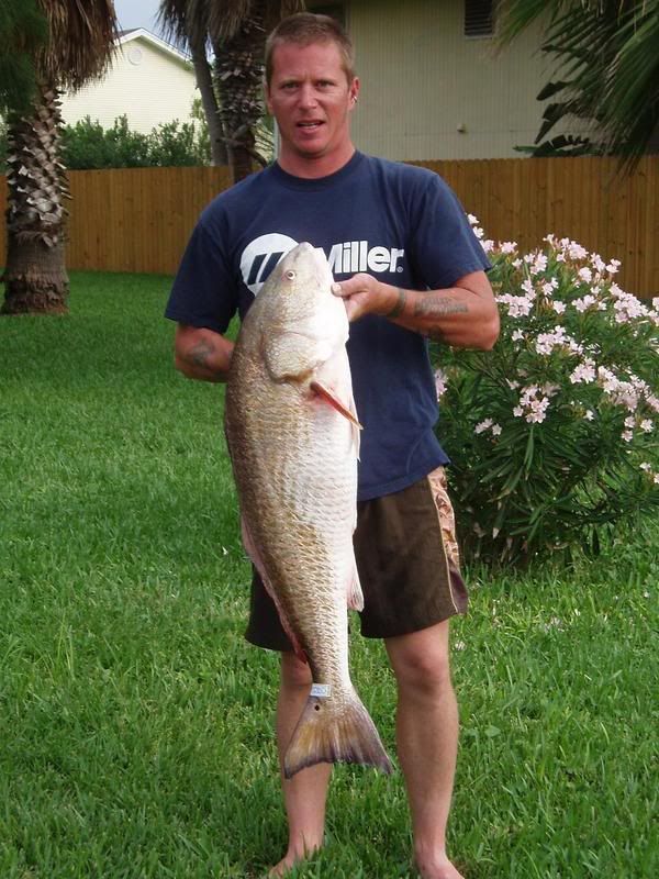 fish005-2.jpg